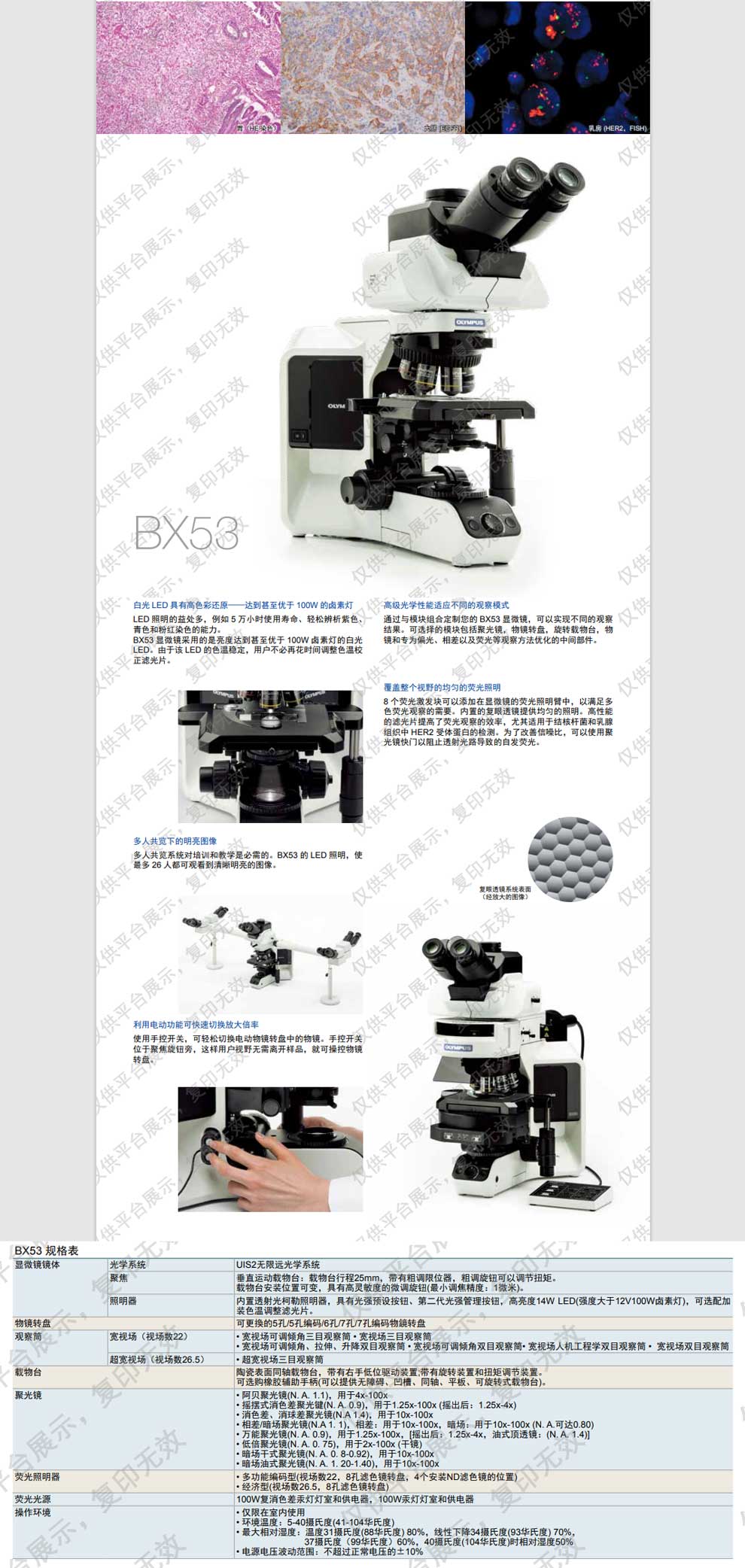 BX53系列-彩頁.jpg